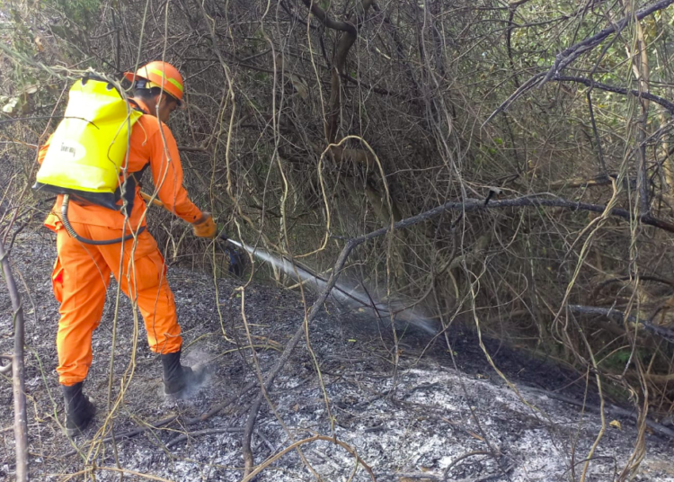 Bomberos sofoca incendio en chatarrera ubicada en el km 4 de la carretera Troncal del Norte