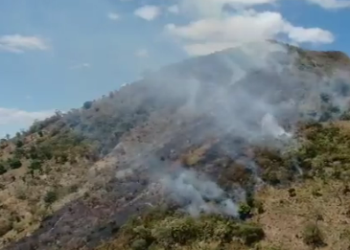 VIDEO: Autoridades trabajan para sofocar incendio en cerro Nejapa