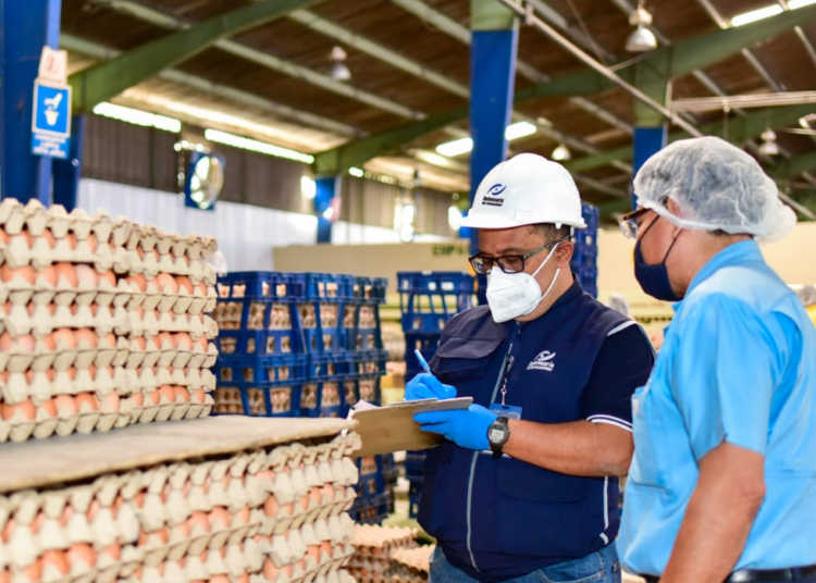 Defensoría del Consumidor inspecciona empresa de productos de huevos