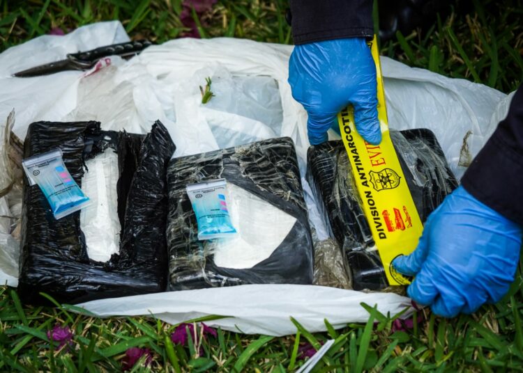 VIDEO: Allanan vivienda en residencial Santa Elena, Antiguo Cuscatlán y capturan a narcotraficantes