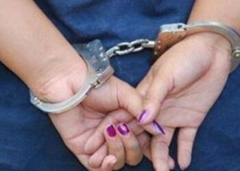 Imagen de referencia