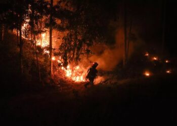 (VIDEOS) Incendios forestales no ceden en el sur centro de Chile