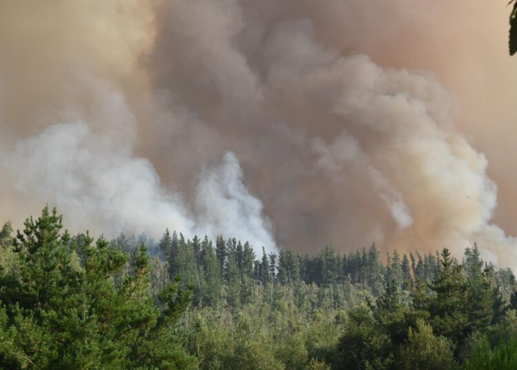 Incendios en Chile llevan una semana sin control