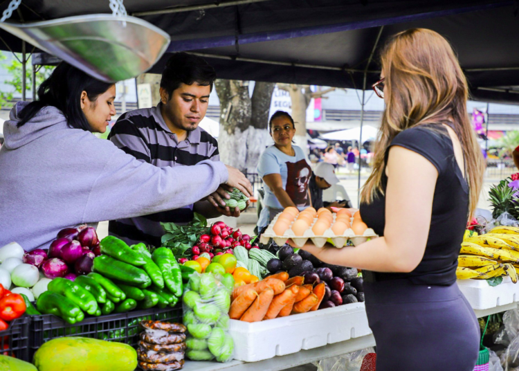 GALERÍA | Salvadoreños respaldan agromercados porque les brindan precios justos