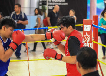 Boxeo profesional se promueve como cultura deportiva
