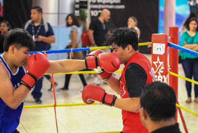 Boxeo profesional se promueve como cultura deportiva