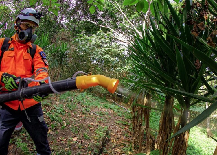 Continúa la implementación de la estrategia de fumigación para evitar la plaga de langostas