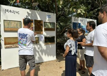 El Salvador alberga segunda edición del festival de surf Boards & Art