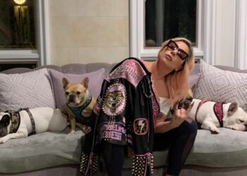 Lady Gaga es demandada por no pagar la recompensa que prometió para recuperar a sus perros