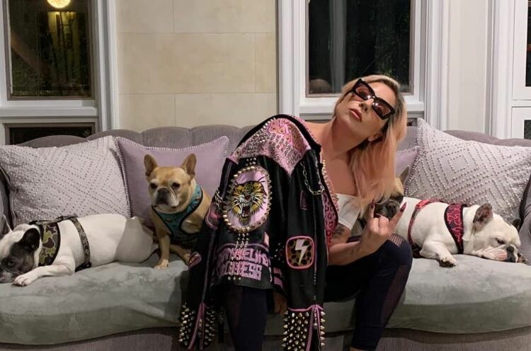 Lady Gaga es demandada por no pagar la recompensa que prometió para recuperar a sus perros