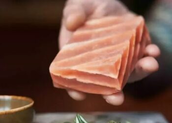 Crean un salmón de origen vegetal que parece, se siente y sabe como el auténtico