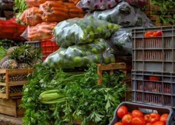 MAG lanza 16 agromercados estratégicos a nivel nacional