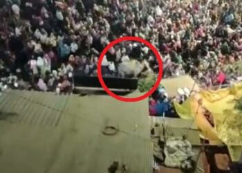 (VIDEO) Un toro irrumpe en un festival religioso y deja al menos 14 heridos en la India