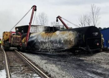 Cerca de 45 mil animales murieron por el derrame de químicos tras el descarrilamiento de un tren en Ohio