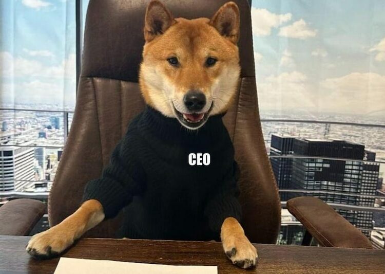 Musk presenta a su perro Floki como el «nuevo director ejecutivo» de Twitter