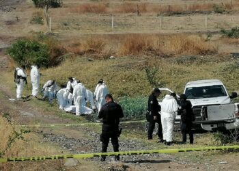 Descubren fosa clandestina con 10 cadáveres en oeste mexicano