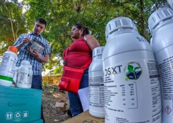 Agricultores pueden adquirir fertilizantes en los AGROCENTA a menor precio que el de mercado