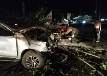 Un árbol cayó sobre un vehículo en marcha lesionando al conductor