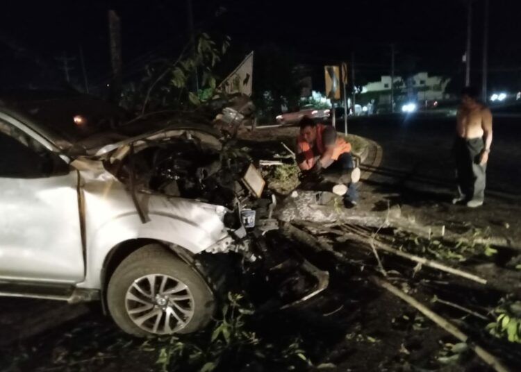 Un árbol cayó sobre un vehículo en marcha lesionando al conductor