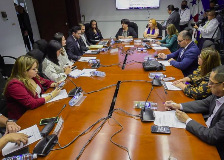 Diputados reciben aportes de instituciones de Gobierno en el estudio de Ley Reforestación de la Ruta de Las Flores