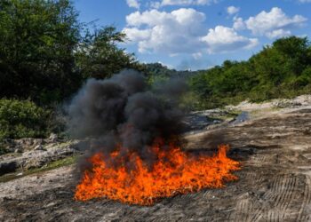 Destruyen cocaína, heroína y marihuana con un valor de más de $366 mil