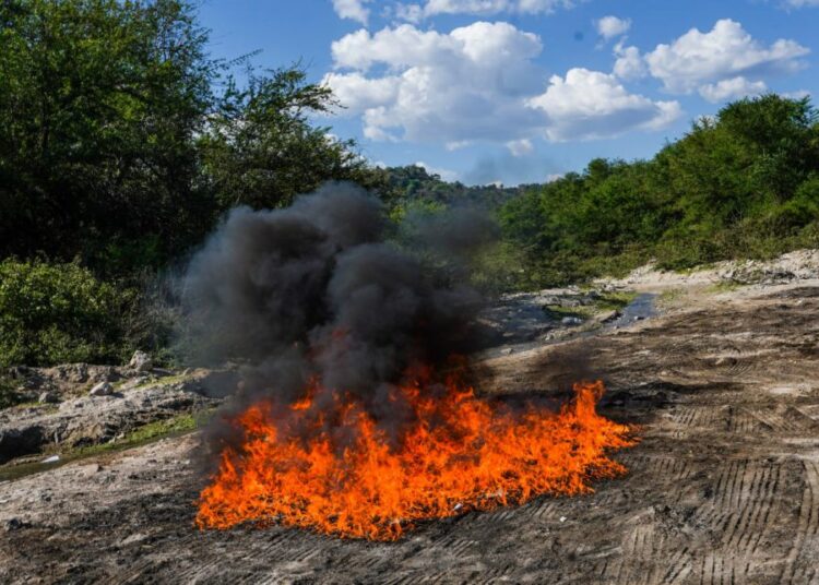 Destruyen cocaína, heroína y marihuana con un valor de más de $366 mil