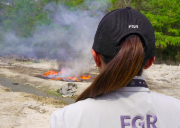 Incineran diferentes tipos de droga con un valor comercial de más de $111 mil