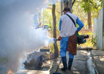 El Salvador se mantiene con cero muertes por dengue