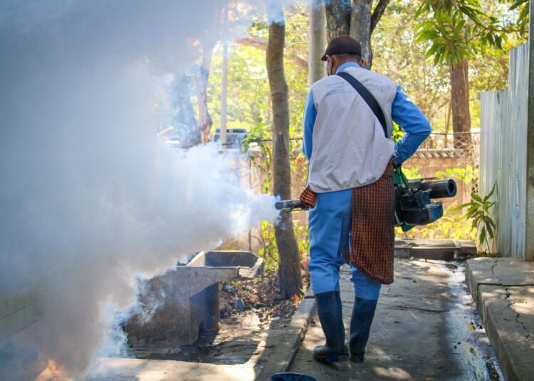 El Salvador se mantiene con cero muertes por dengue