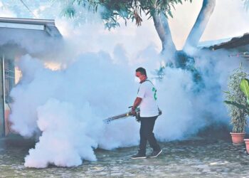 Ministerio de Salud mantiene bajo control el dengue en El Salvador