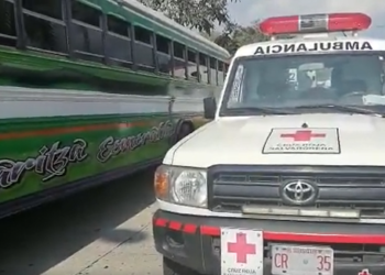 VIDEO | Al menos 20 estudiantes resultaron intoxicados luego de ingerir pizza al interior de un bus, esta tarde