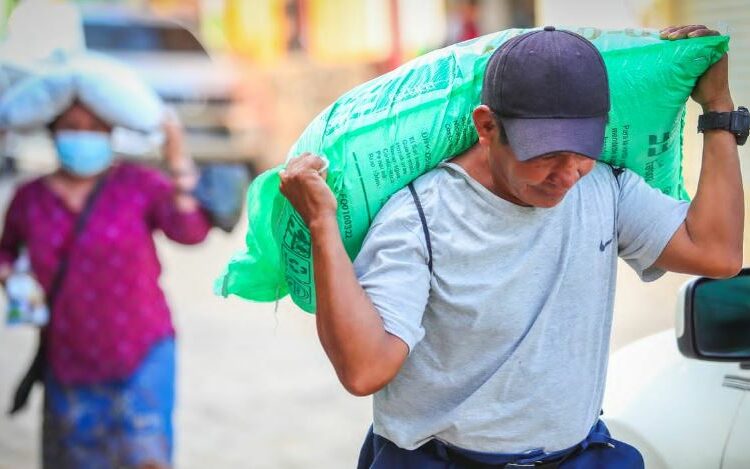 Agricultores serán beneficiados nuevamente con la entrega de paquetes agrícolas este año