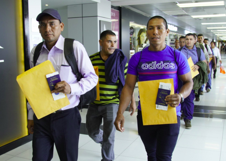 Gobierno avanza para que más salvadoreños trabajen de forma legal y segura en Canadá, Italia y España