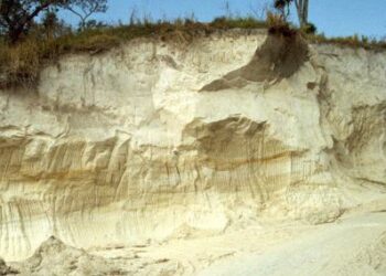 Propietario de terreno es condenado por extraer tierra blanca sin permisos en Planes de Renderos