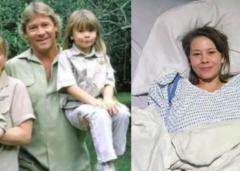 «10 años de fuerte dolor»: hija del Cazador de Cocodrilos se somete a cirugía