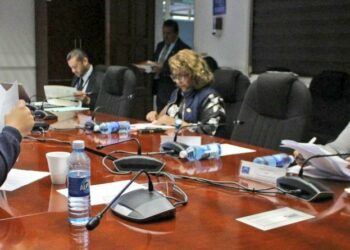 Diputada de Arena asegura que trabajo que realiza la DOM no es de «interés público»