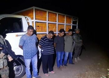 Contrabandistas de gallinas ponedoras son capturados en un punto ciego, provenientes de Guatemala