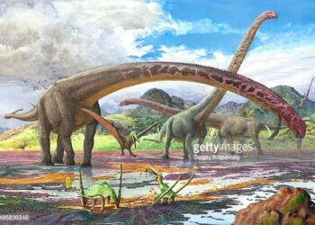 Descubren el fósil de dinosaurio con el cuello más largo conocido