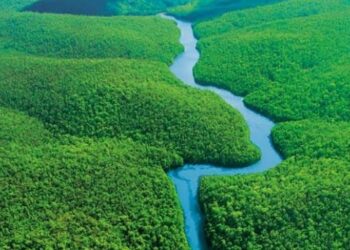 Un hombre sobrevive durante un mes perdido en la Amazonía boliviana