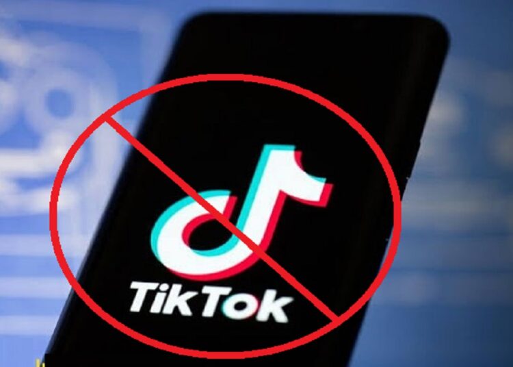 La Casa Blanca «aplaude» un proyecto de ley que habilitaría la prohibición de TikTok