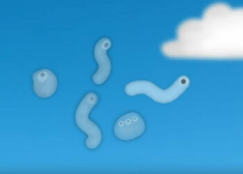 ¿Qué son esos gusanitos que aparecen cuando miramos al cielo?