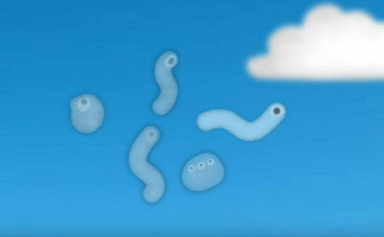 ¿Qué son esos gusanitos que aparecen cuando miramos al cielo?