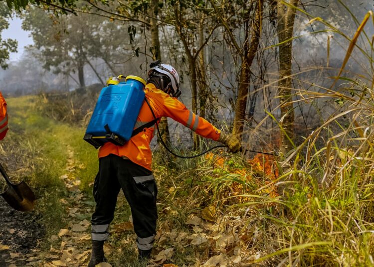 Bomberos sofocan incendio frente al parque El Principito, La Libertad