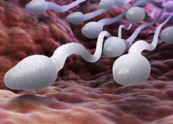 Prohíben al padre de cientos de niños que siga donando esperma