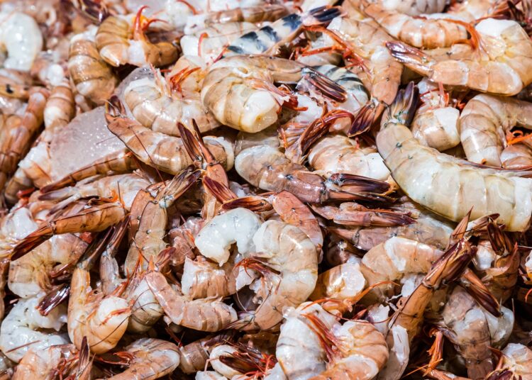 MAG anuncia veda de camarón de mar a partir del 2 de mayo