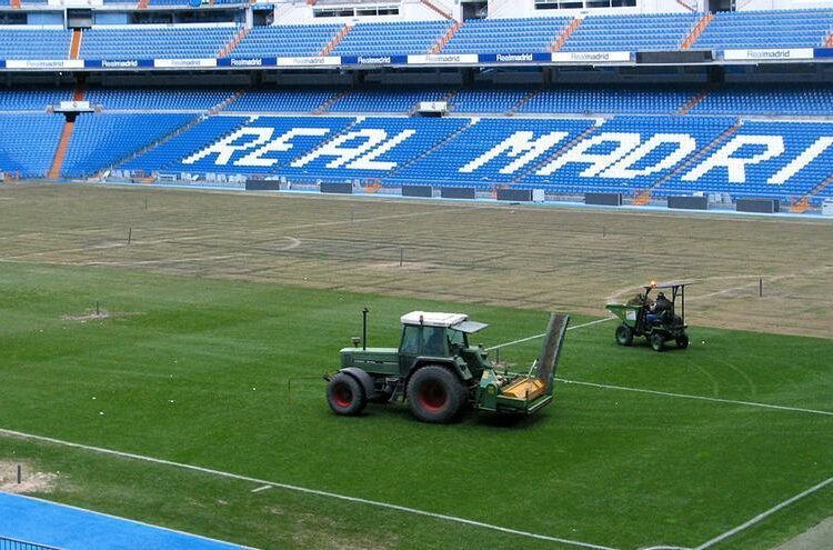 El césped del Santiago Bernabéu sigue enfermo