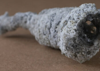 Descubren cerca de un árbol impactado por un rayo un material nunca visto en la Tierra