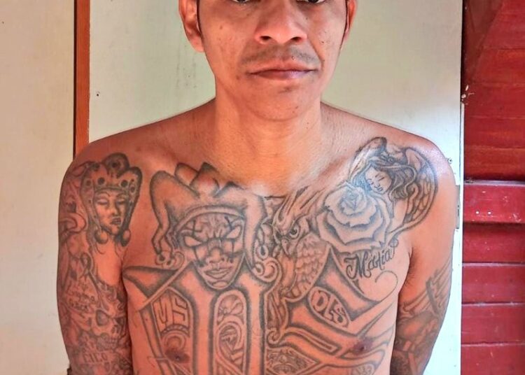 Capturan a pandillero que recién salía del penal