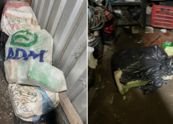 Policía incauta otros 100 kilos de cocaína, esta vez en Santa Tecla