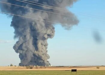 Mueren 18 mil vacas por la explosión en una granja de Texas